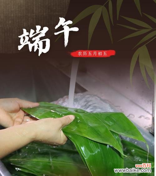 箬叶的特点与用途 探究箬叶的意义及应用