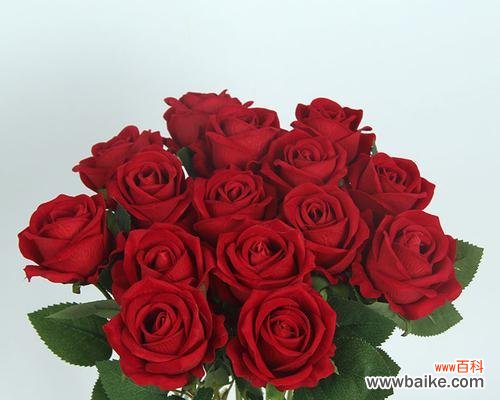 探寻玫瑰花背后的深意 三朵玫瑰的含义