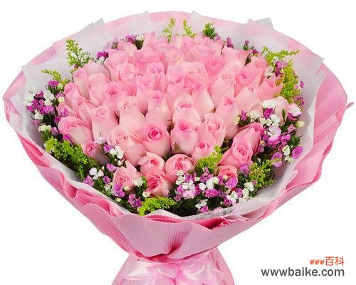 浪漫之中蕴含的深刻情感与祝福 三十三朵粉玫瑰的象征意义及寓意解读