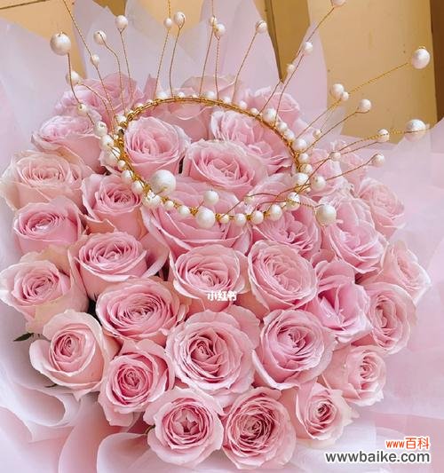 浪漫之中蕴含的深刻情感与祝福 三十三朵粉玫瑰的象征意义及寓意解读