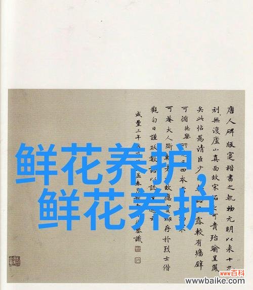 向阳花的花语是什么？象征着什么？