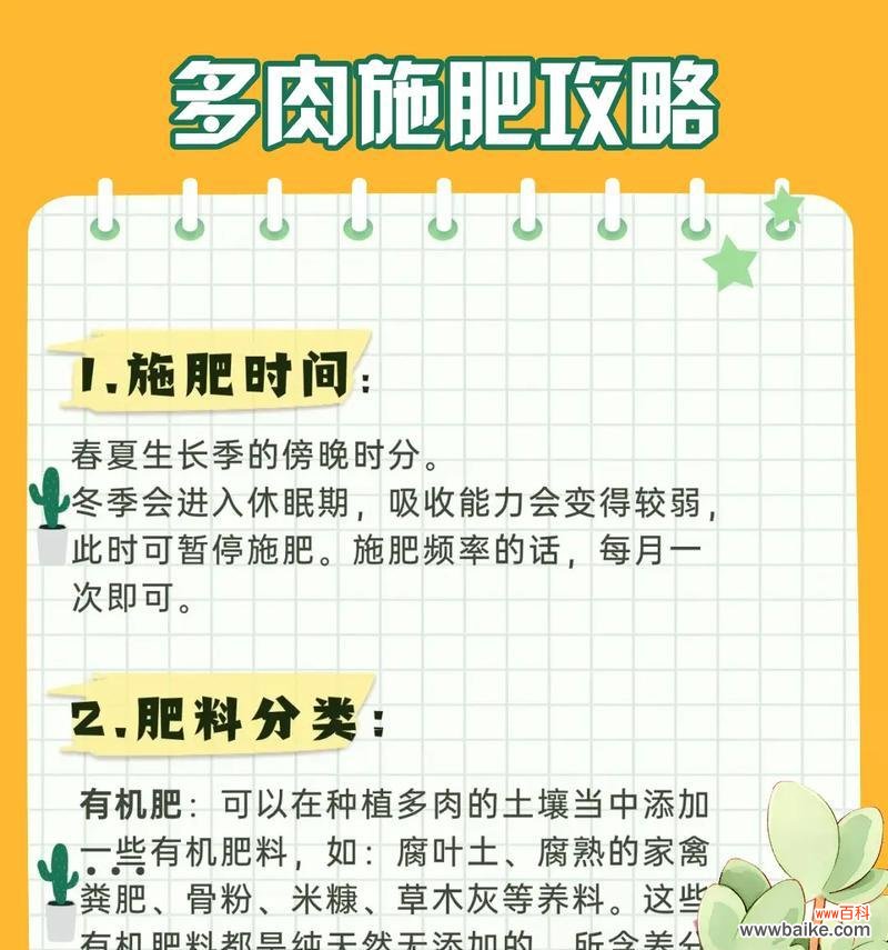 多肉植物的名字有何含义？多肉植物的寓意是什么？