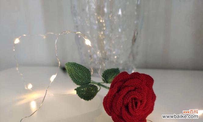 小王子玫瑰花编织的寓意是什么？它代表什么？