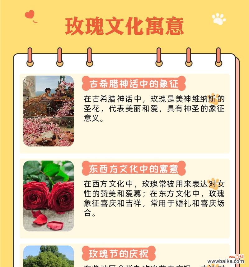 复古红玫瑰花的花语是什么？它在传统中代表了哪些情感？