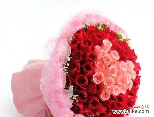 解读每一朵玫瑰花的含义和传达的情感 十二朵玫瑰花的意义及象征