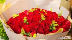 探索红玫瑰花所传递的深刻含义 十一朵红玫瑰花的花语