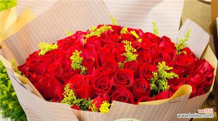探索红玫瑰花所传递的深刻含义 十一朵红玫瑰花的花语