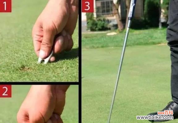 球杆上的玫瑰花图案有何含义？它在高尔夫中代表什么？