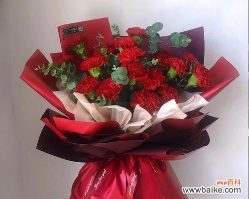 晚安康乃馨的花语是什么？乃馨花束表达的晚安祝福有何深意？