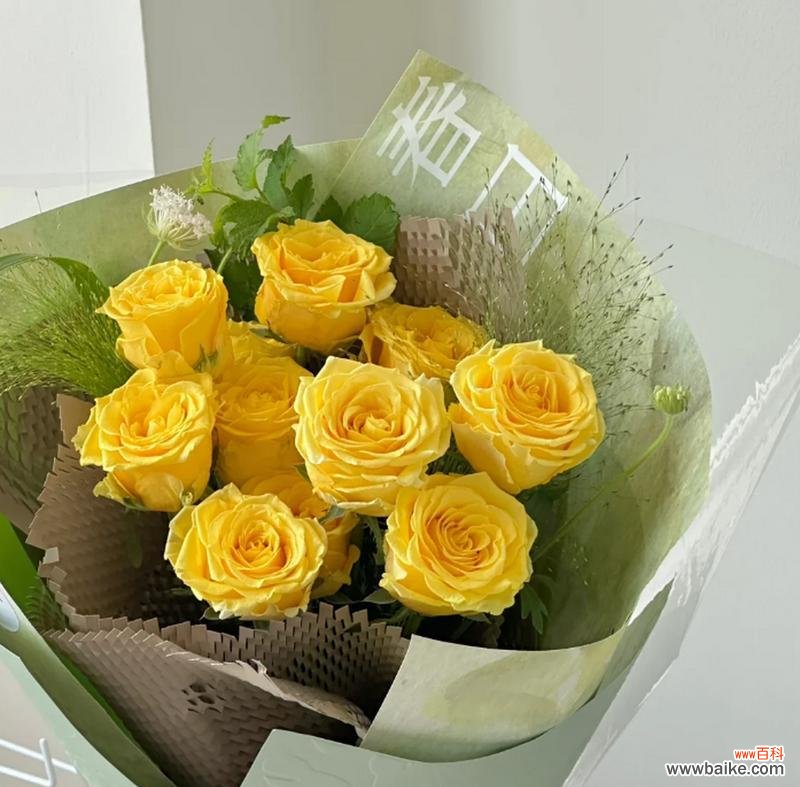 玫瑰花图像的意义是什么?它传达了哪些信息?