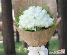 白玫瑰数量不同代表什么？从1朵到99朵的花语是什么？