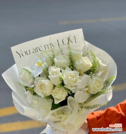 送白玫瑰有什么含义？白玫瑰在不同场合代表什么？