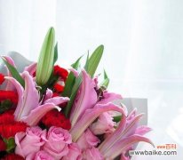 粉色堡垒百合花的寓意是什么？