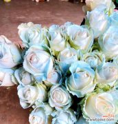 11朵玫瑰花代表什么情感？11朵玫瑰花的花语有何特别之处？