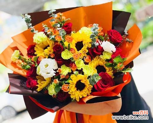 11朵玫瑰花代表什么情感？11朵玫瑰花的花语有何特别之处？