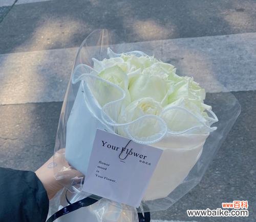 传递纯洁与真爱的白玫瑰 送白玫瑰的寓意与含义