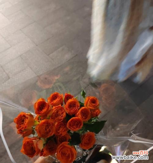 三朵玫瑰花项链的含义是什么?