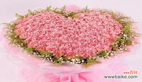 粉色康乃馨象征着什么？