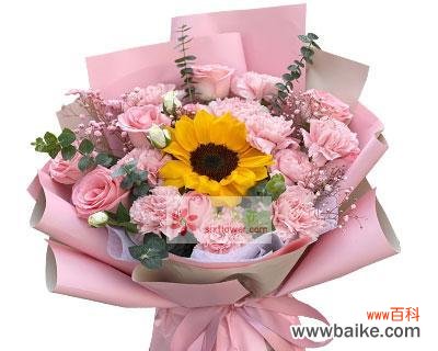 粉色康乃馨象征着什么？