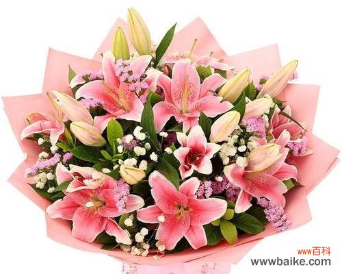 萌百合的含义是什么?它在花语中代表什么?