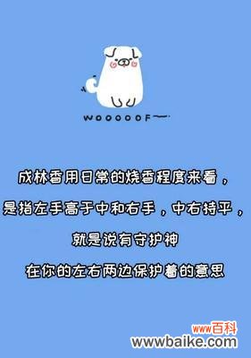 日语葵香百合代表什么含义?如何正确理解其意思?