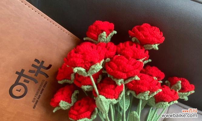 钩花玫瑰的寓意是什么?它在花语中代表着什么?