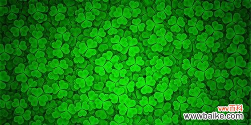 解读四叶草的象征意义与传说 四叶草的神秘与吉祥