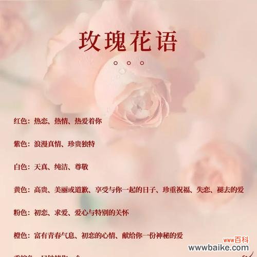 送给女朋友什么花最合适？花语中哪些花代表爱情？