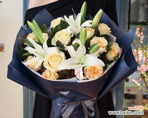 玫瑰花数的隐含含义与传达情感的方式 送11朵玫瑰的寓意与象征