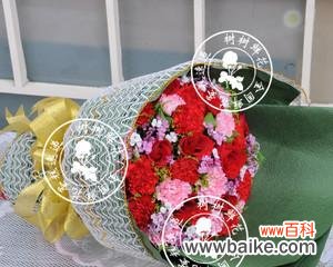 探秘九朵玫瑰的神秘传说与寓意 九朵玫瑰的含义与象征