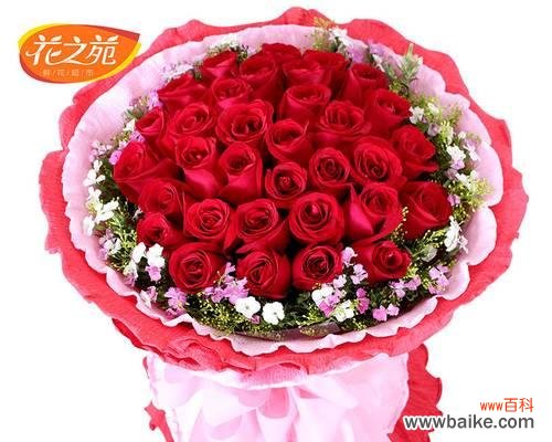 玫瑰花之语的秘密揭示 33朵玫瑰的象征意义