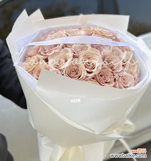 玫瑰花之语的秘密揭示 33朵玫瑰的象征意义