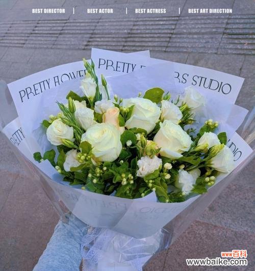 探究白玫瑰花语的深层含义 白玫瑰的寓意及象征意义