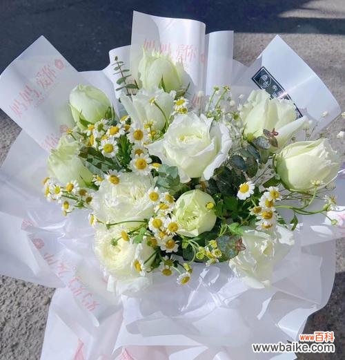 探究白玫瑰花语的深层含义 白玫瑰的寓意及象征意义