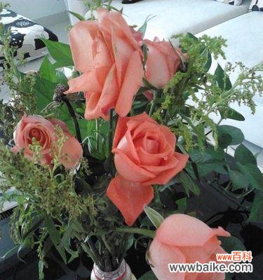 探寻粉玫瑰背后的感情语言 送粉玫瑰的意义及象征