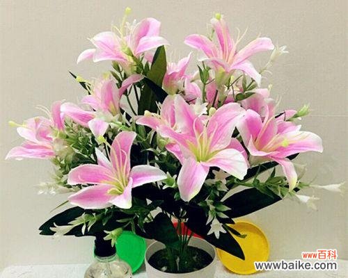 探秘送百合花的意义与文化传统 百合花的寓意与象征