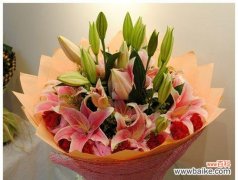 以送闺蜜康乃馨花语代表什么 康乃馨花语中的深情厚谊