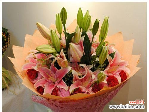 以送闺蜜康乃馨花语代表什么 康乃馨花语中的深情厚谊