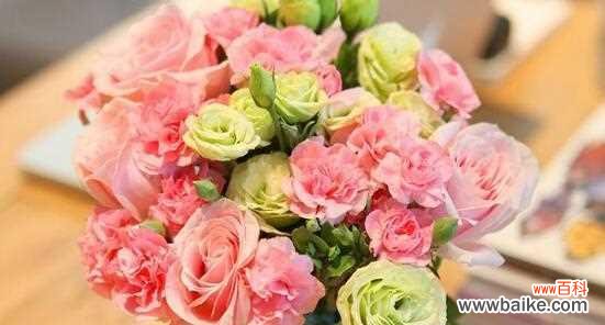 以送闺蜜康乃馨花语代表什么 康乃馨花语中的深情厚谊