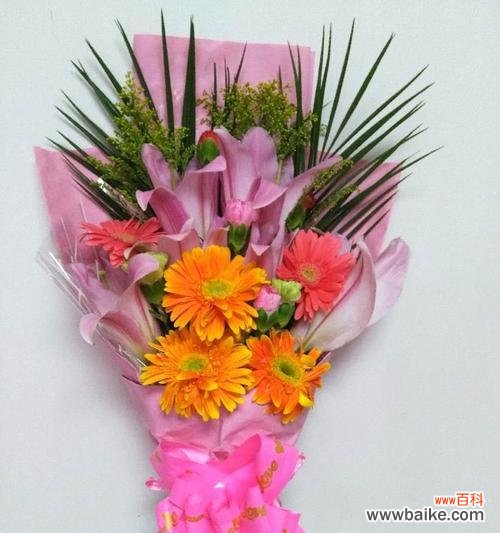 探寻友谊的象征,寻找心灵的连接 友谊之花