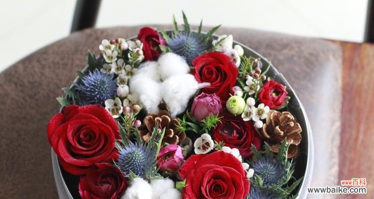 以鲜花传递的圣诞祝福 圣诞花的花语揭示