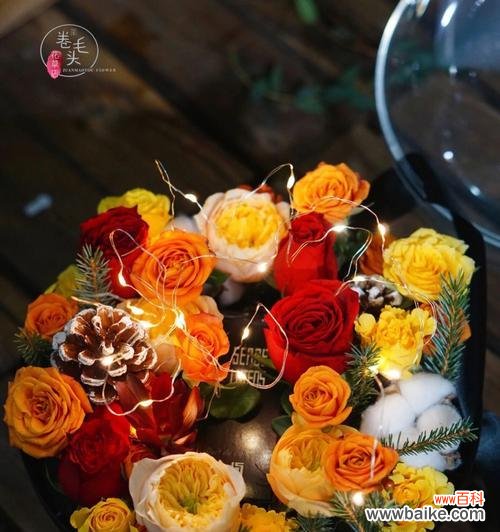 以鲜花传递的圣诞祝福 圣诞花的花语揭示