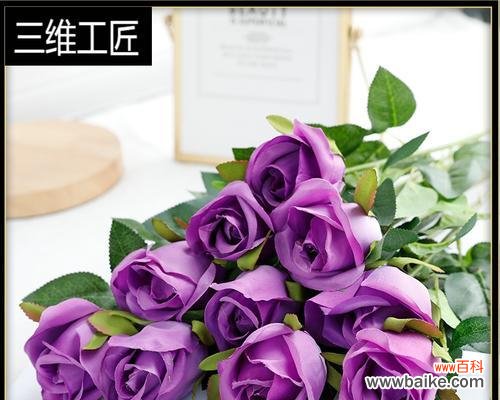 探索十朵玫瑰所代表的含义 十朵玫瑰的深意