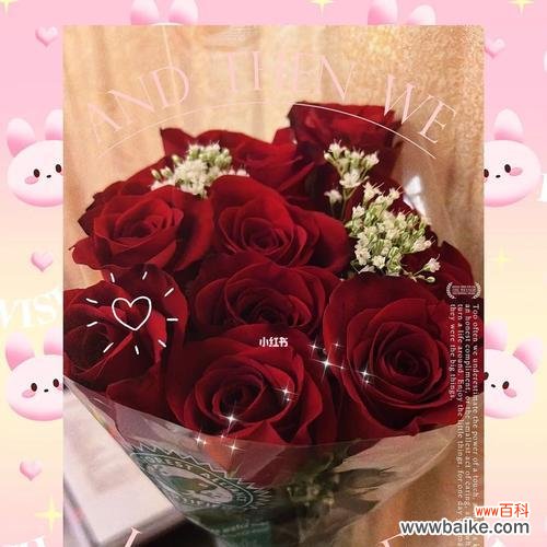 揭开十二朵玫瑰背后的秘密，了解每朵玫瑰所代表的含义 十二朵玫瑰的花语与象征意义