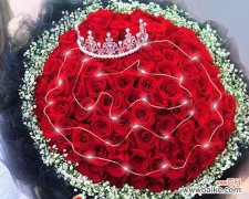 探寻玫瑰花的奥秘与情感 十二朵玫瑰的寓意与象征