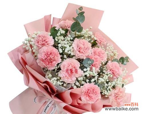 8朵康乃馨花束代表什么？