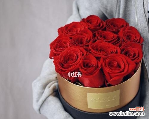 探索十二支玫瑰花的各种意义与象征 揭开十二支玫瑰花的花语之谜