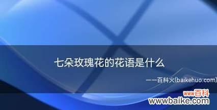 探索十二支玫瑰花的各种意义与象征 揭开十二支玫瑰花的花语之谜