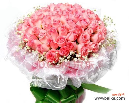 探讨十一朵粉玫瑰在不同文化中的隐含寓意 十一朵粉玫瑰的象征意义