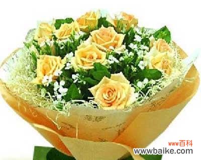 十一朵玫瑰花语的含义及应用领域 十一朵的玫瑰花语